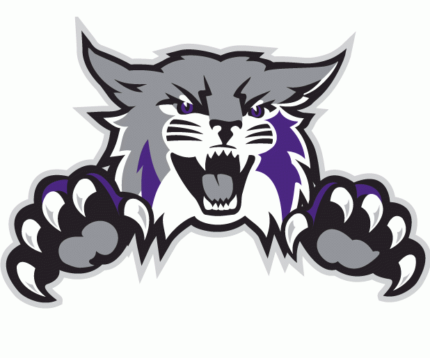 Weber State Wildcats 2012-Pres Alternate Logo vinyl decal